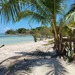 Fishing Excursions - Andros Town