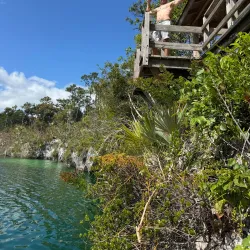 Fishing Excursions - Andros Town