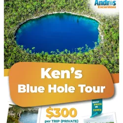 Fishing Excursions - Andros Town