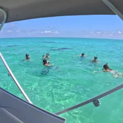 Fishing Excursions - Andros Town