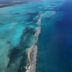 Fresh Creek Mangroves - Andros Town