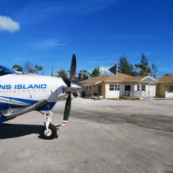 Fresh Creek Mangroves - Andros Town