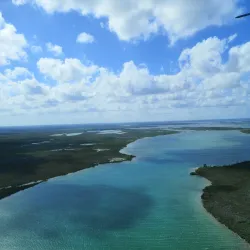 Fresh Creek Mangroves - Andros Town