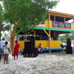 Fresh Creek Mangroves - Andros Town