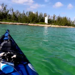 Fresh Creek Mangroves - Andros Town
