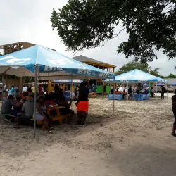 Fresh Creek Mangroves - Andros Town