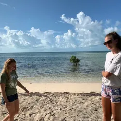 Bimini Biological Field Station (Shark Lab) - Bimini