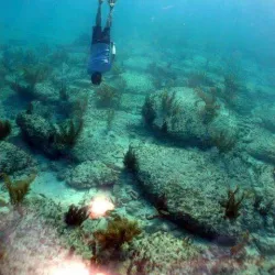 Bimini Road - Bimini