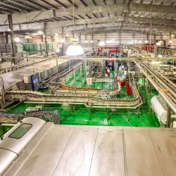 Bahamian Brewery & Beverage Company - Freeport