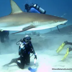 Freeport Dive Center - Freeport