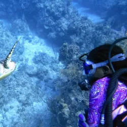 Freeport Dive Center - Freeport