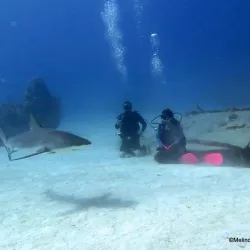 Freeport Dive Center - Freeport