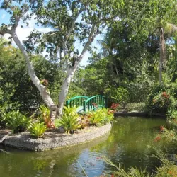 Garden of the Groves - Freeport