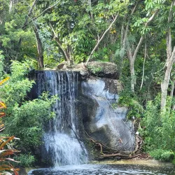 Garden of the Groves - Freeport