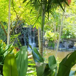 Garden of the Groves - Freeport