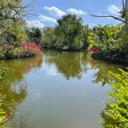 Garden of the Groves - Freeport