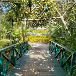 Garden of the Groves - Freeport