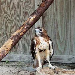 Rand Nature Center - Freeport