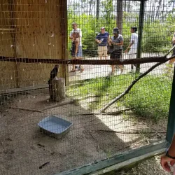 Rand Nature Center - Freeport