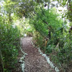 Taino Beach - Freeport