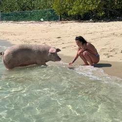 Boat Tours and Island Hopping - Freetown