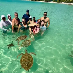 Boat Tours and Island Hopping - Freetown