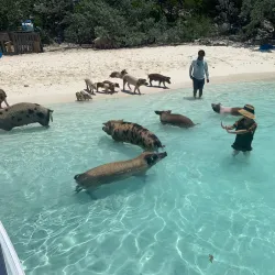 Boat Tours and Island Hopping - Freetown