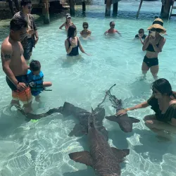 Boat Tours and Island Hopping - Freetown