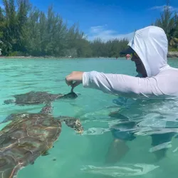 Boat Tours and Island Hopping - Freetown