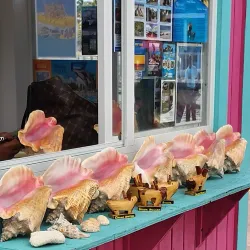 Community Cultural Events - Freetown