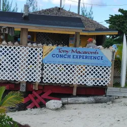 Local Cuisine Experiences - Freetown