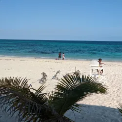 Local Cuisine Experiences - Freetown