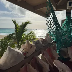 Local Cuisine Experiences - Freetown