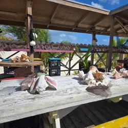 Local Cuisine Experiences - Freetown