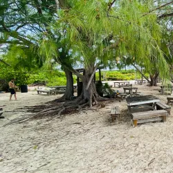 Chat 'N' Chill Beach Bar - George Town