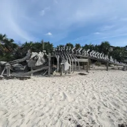 Exuma Cays Land and Sea Park - George Town