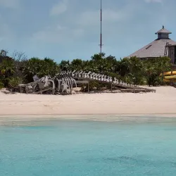 Exuma Cays Land and Sea Park - George Town