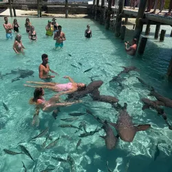 Exuma Water Sports - George Town