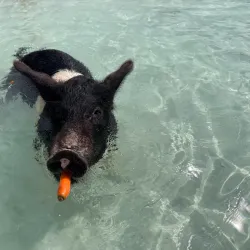 Exuma Water Sports - George Town