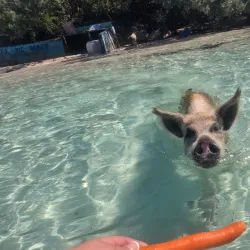 Exuma Water Sports - George Town