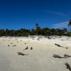 Exuma Water Sports - George Town