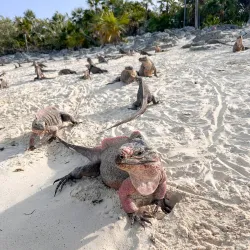 Exuma Water Sports - George Town