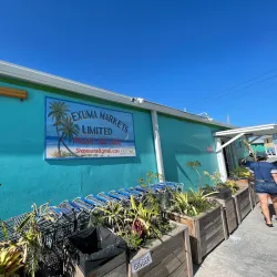 George Town Market - George Town