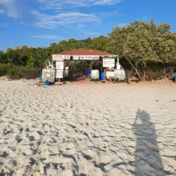Pig Beach (Big Major Cay) - George Town
