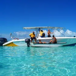 Pig Beach (Big Major Cay) - George Town
