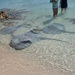 Stocking Island - George Town