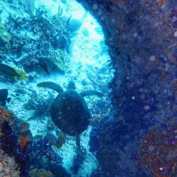 Thunderball Grotto - George Town