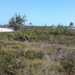 Williams Town - George Town