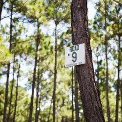 Abaco National Park - Marsh Harbour