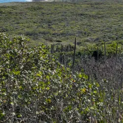 Abaco National Park - Marsh Harbour